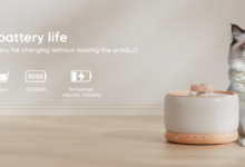 wopet pet water fountain